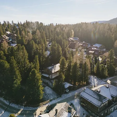 Pine19 Villa Turracher Hohe